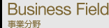 ���ƕ��� Business Field
